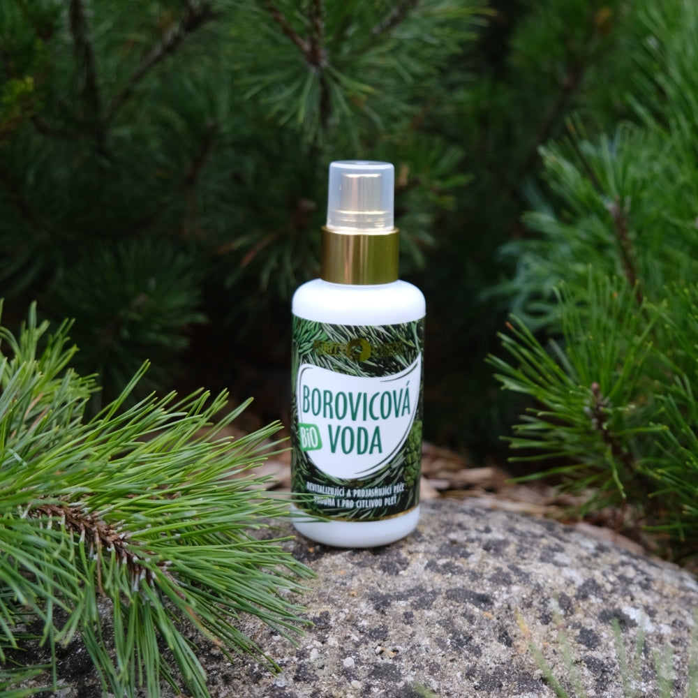 PURITY VISION Bio Borovicová voda 100 ml