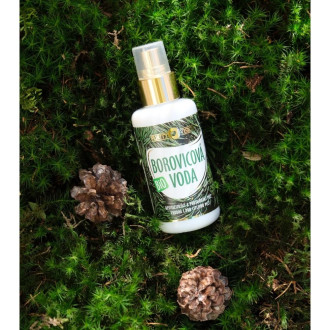PURITY VISION Bio Borovicová voda 100 ml